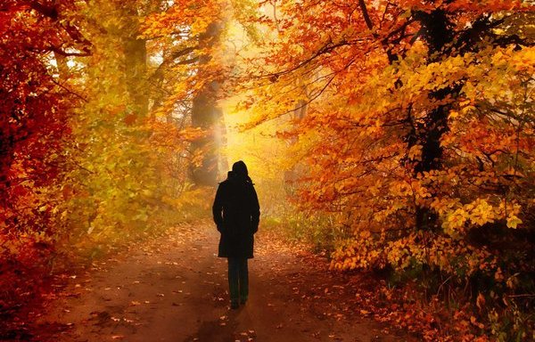 Equinozio d’autunno: Scopri le tradizioni e i riti